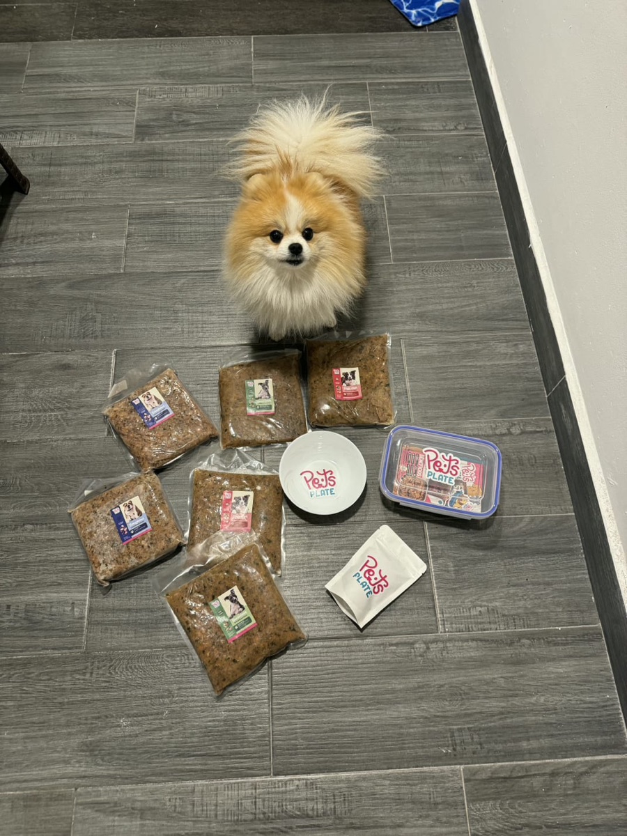 Kit Introductorio de alimento cocido para perro Pets' Plate: muestras de las recetas, plato y contenedor